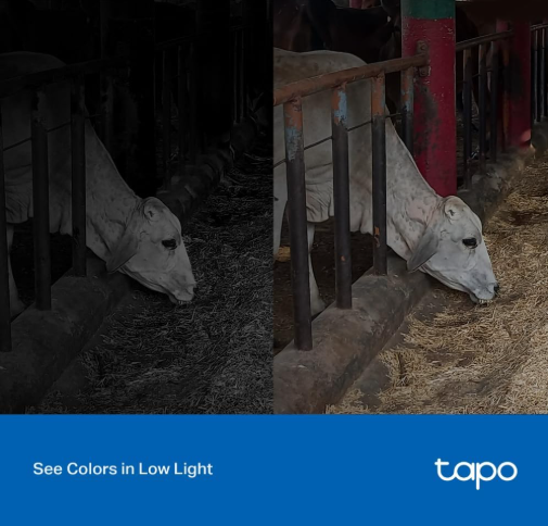 TP-Link Tapo C320WS Outdoor Security Wi-Fi Camera with 2K QHD Video, Color Night Vision & Dual Antennas